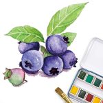 Phoenix 12 Colors Half Pan Artist Grade Watercolor Set - الصورة 3